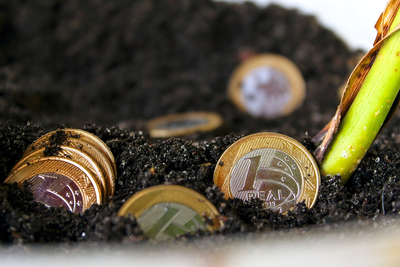 monedas