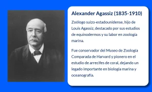 Agassiz