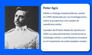 Arístides Agramonte (1868-1931): El pionero en la lucha contra la fiebre amarilla