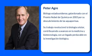 Peter Agre (1949-VVVV): El biólogo norteamericano que revolucionó el estudio del agua