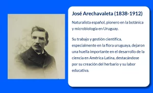 José Arechavaleta (1838-1912): Un pionero de la botánica y microbiología en Uruguay