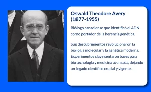 Oswald Theodore Avery (1877-1955). El pionero que reveló la naturaleza del material genético