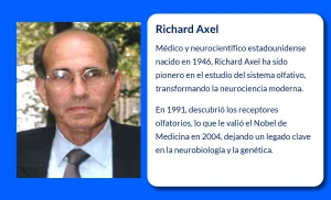 Richard Axel (1946-VVVV). El pionero del olfato que revolucionó la neurociencia