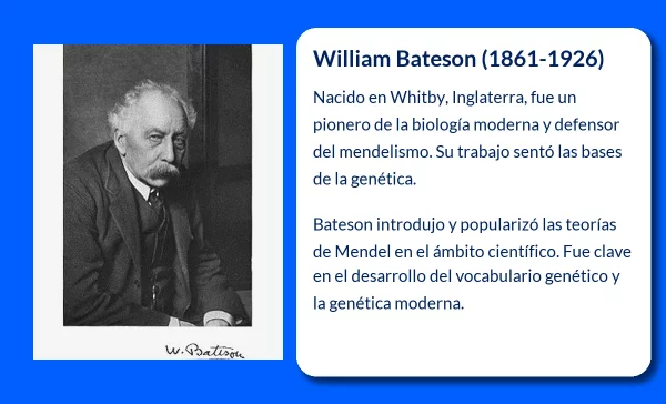 William Bateson