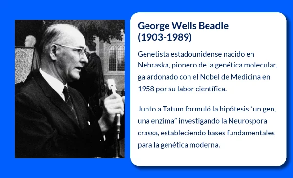 George Wells Beadle (1903-1989). El padre de la genética moderna y su legado en la bioquímica