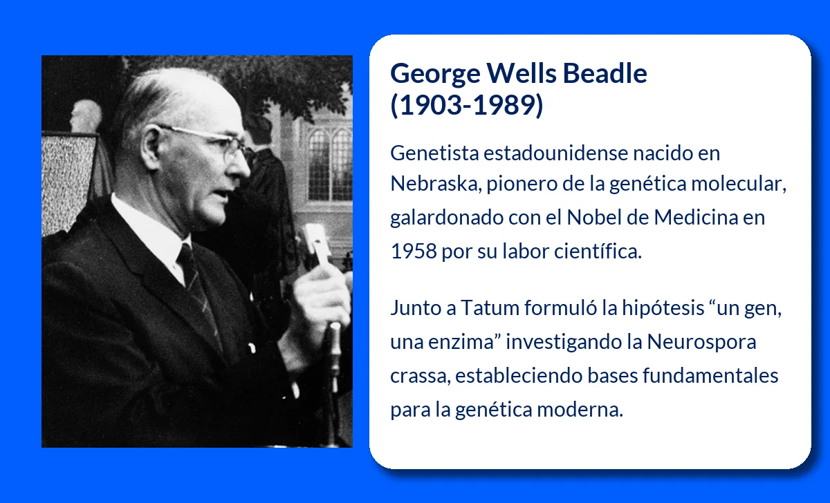 George Wells Beadle (1903-1989). El padre de la genética moderna y su legado en la bioquímica