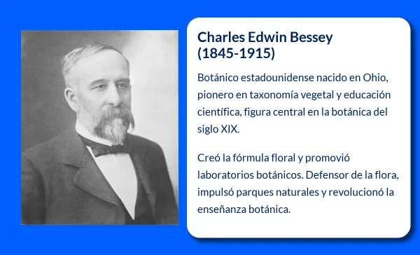 Charles Edwin Bessey