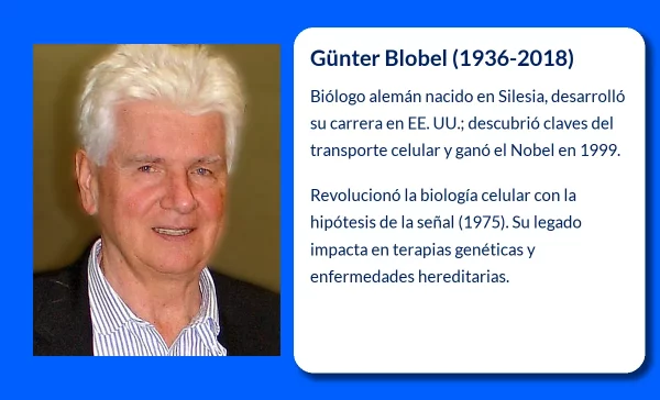 Günter Blobel. El científico que desentrañó los secretos del transporte celular de proteínas