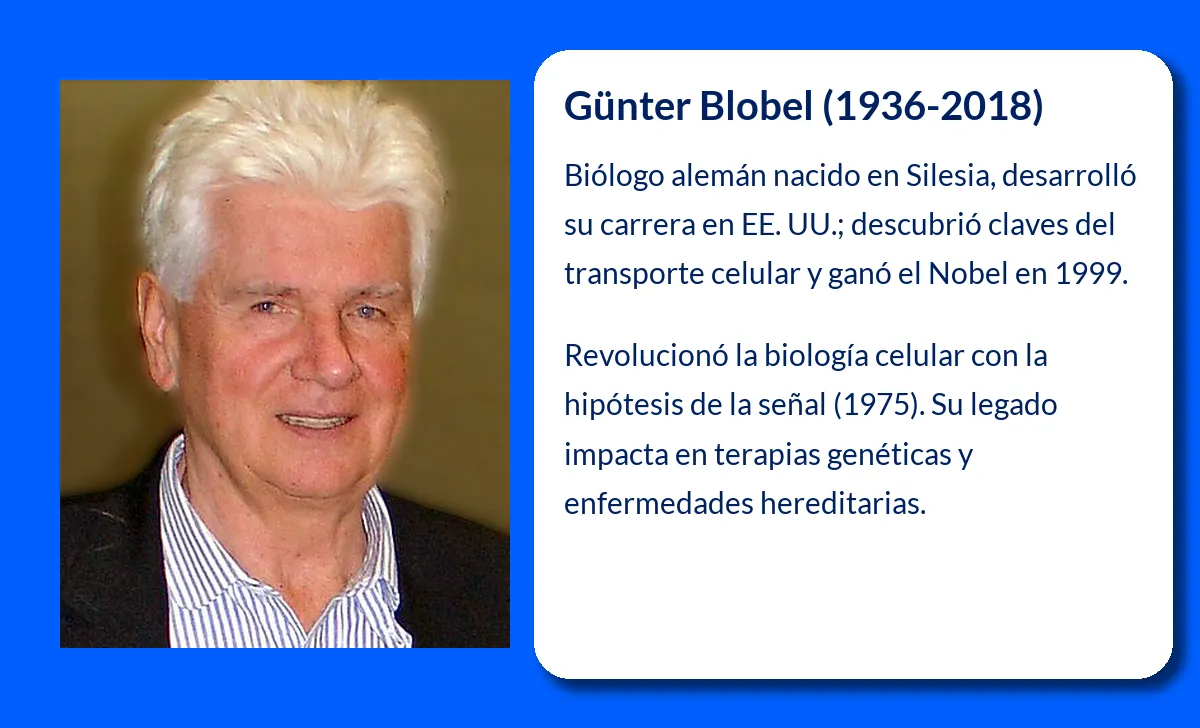 Günter Blobel. El científico que desentrañó los secretos del transporte celular de proteínas