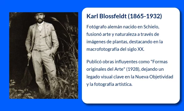 Karl Blossfeldt