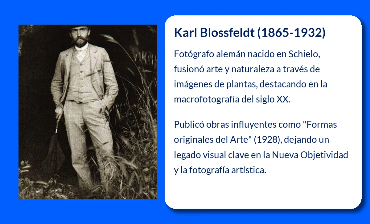 Karl Blossfeldt
