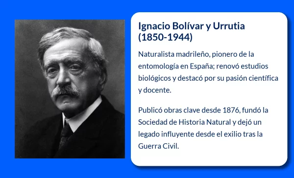 Bolívar y Urrutia
