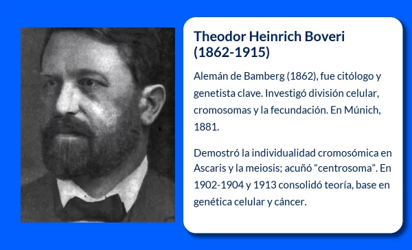 Theodor Heinrich Boveri