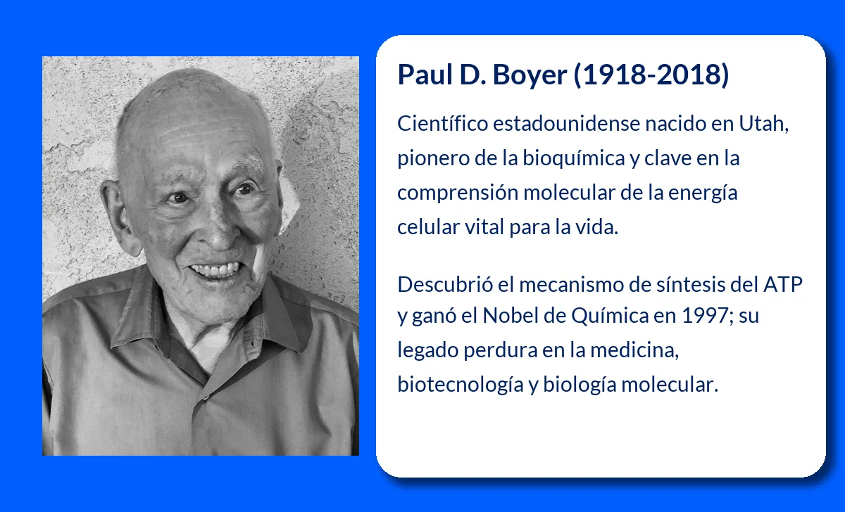 Paul D. Boyer. El científico que descifró el mecanismo de la síntesis de ATP