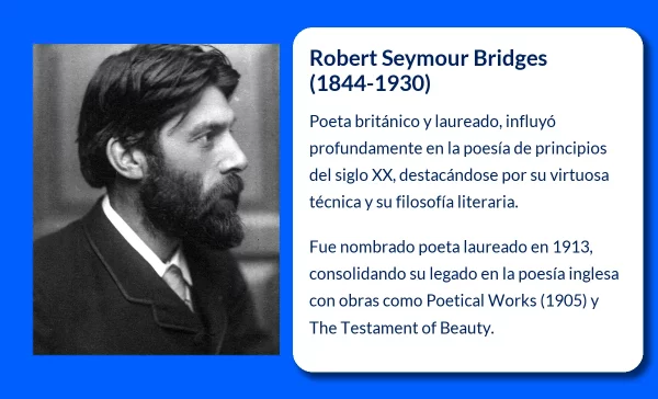 Bridges