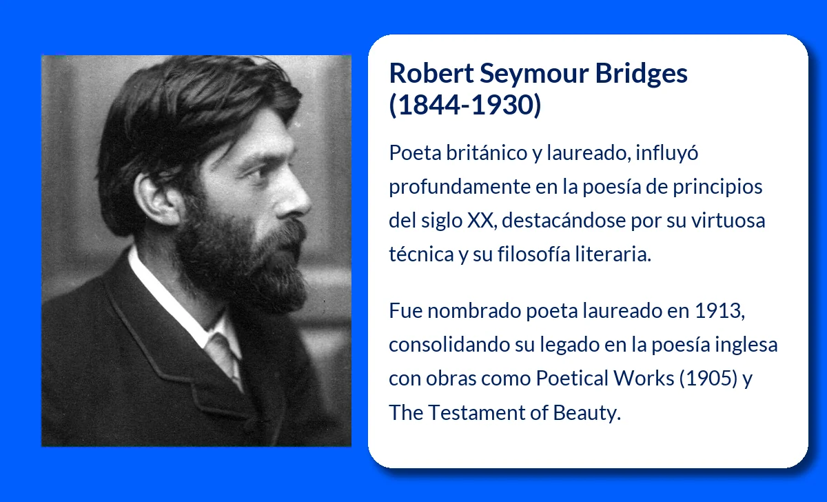 Bridges
