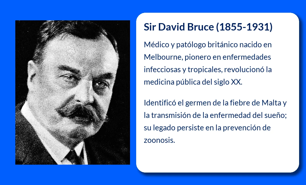 Bruce