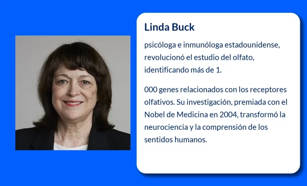 Linda Buck (1947-VVVV). La pionera en el estudio del olfato que revolucionó la neurociencia