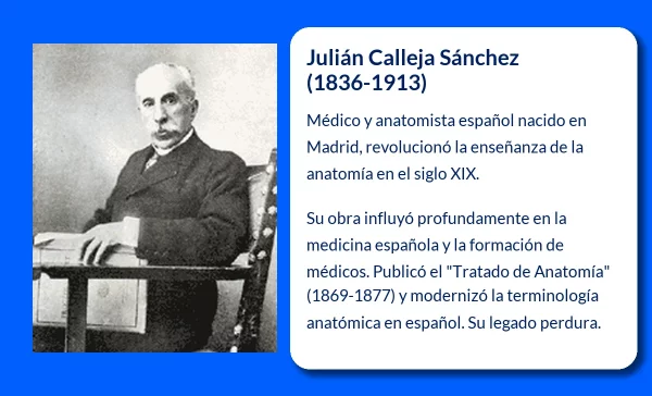 Calleja Sánchez