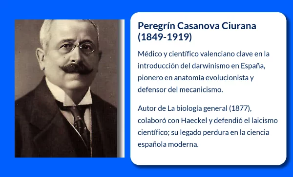 Peregrín Casanova Ciurana