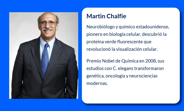Martin Chalfie (1947-VVVV). El neurobiólogo que revolucionó la biología celular con la proteína verde fluorescente