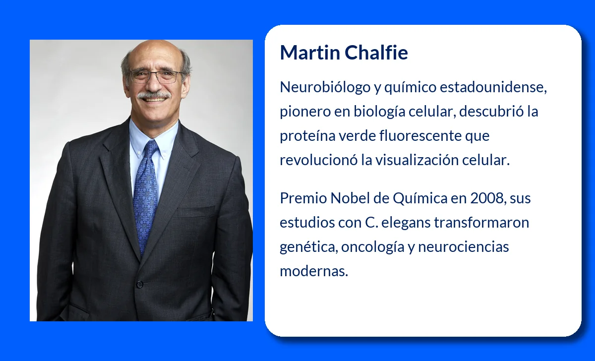 Martin Chalfie (1947-VVVV). El neurobiólogo que revolucionó la biología celular con la proteína verde fluorescente
