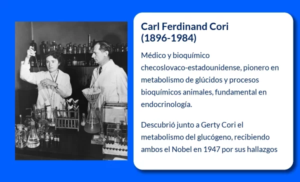Carl Ferdinand Cori (1896-1984): El descubrimiento fundamental sobre el metabolismo de los glúcidos