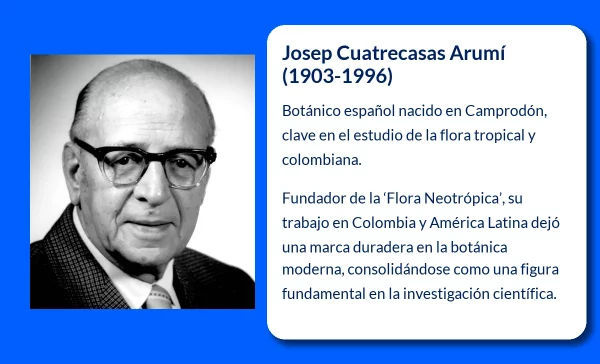 Cuatrecasas Arumí