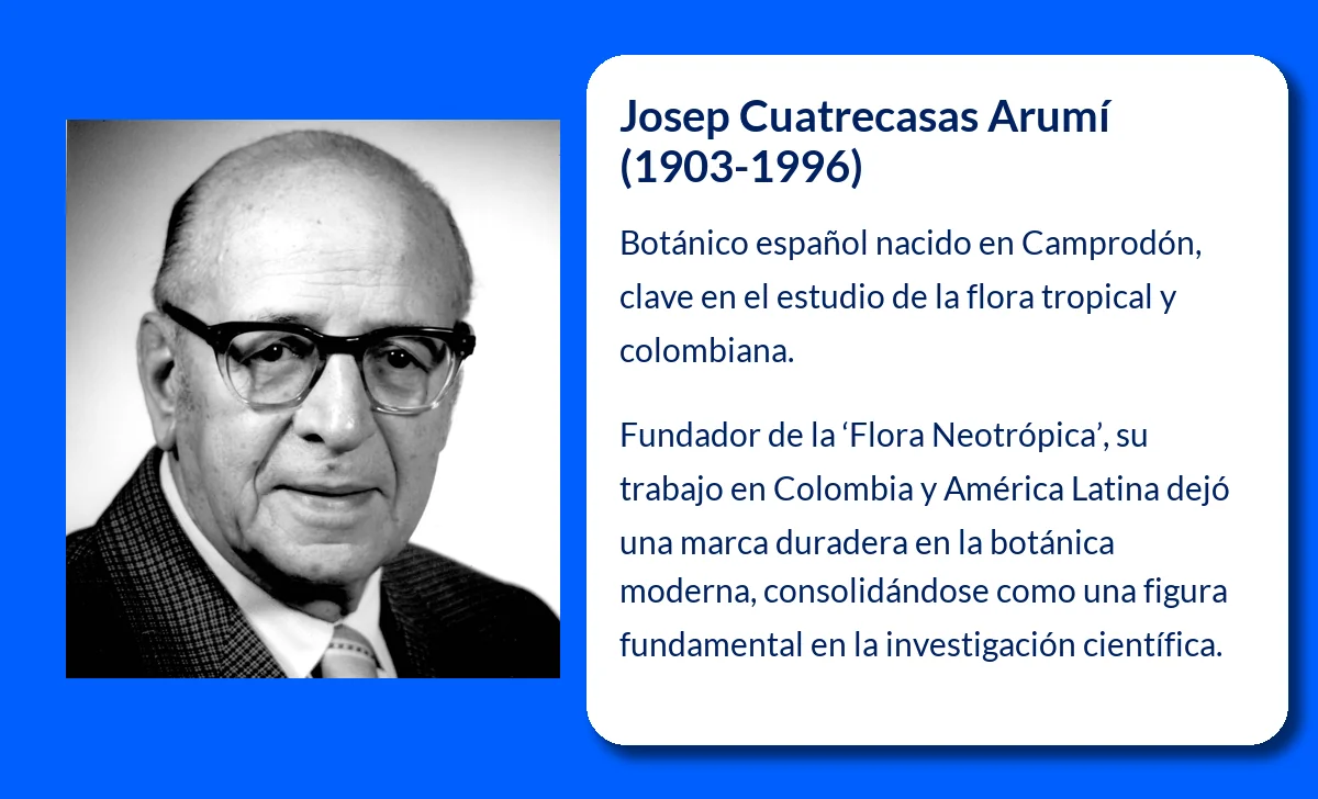 Cuatrecasas Arumí