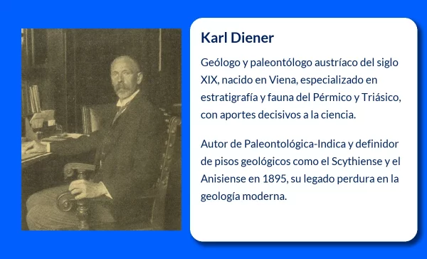 Diener
