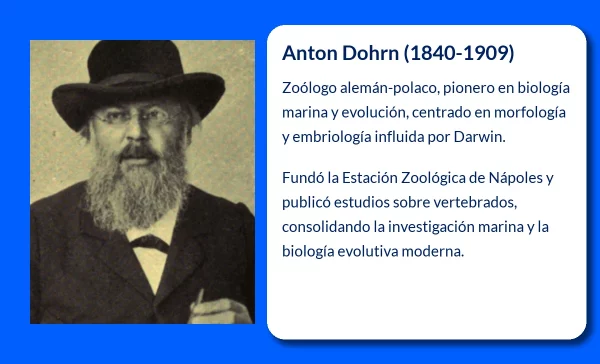 Anton Dohrn (1840-1909): El pionero de la zoología marina y la evolución darwiniana