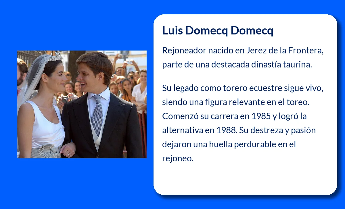 Domecq Domecq
