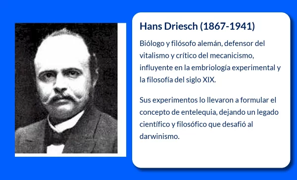 Hans Driesch (1867-1941): El biólogo y filósofo alemán que desafió el mecanicismo