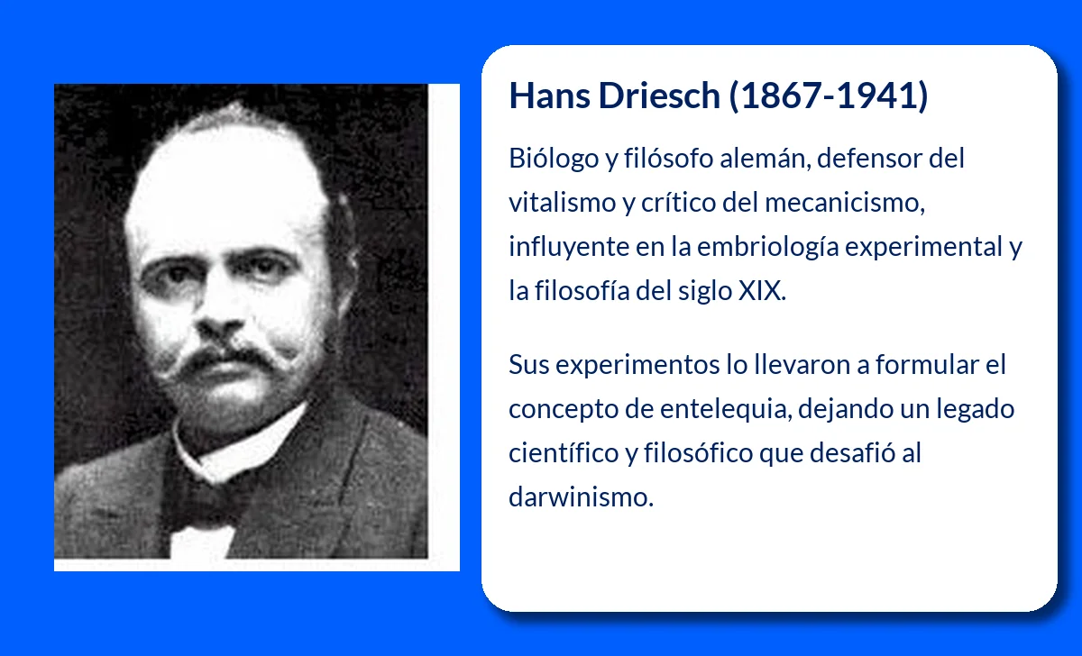 Hans Driesch (1867-1941): El biólogo y filósofo alemán que desafió el mecanicismo
