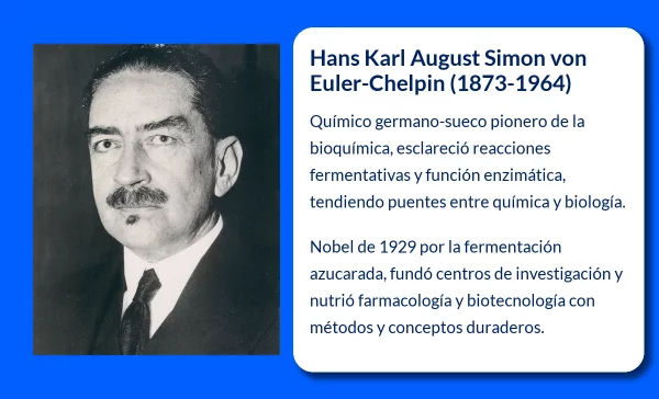 Hans Karl August Simon von Euler-Chelpin (1873-1964): Pionero en la química de la fermentación