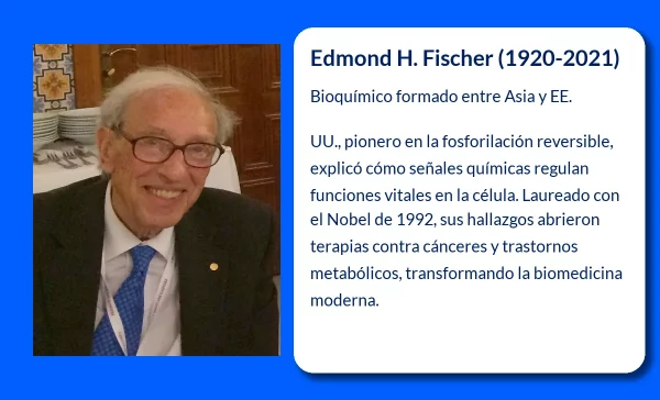 Fischer