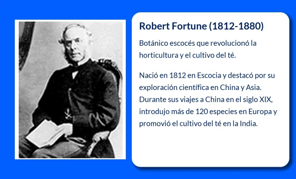 Robert Fortune (1812-1880). El botánico escocés que revolucionó el cultivo del té en Occidente