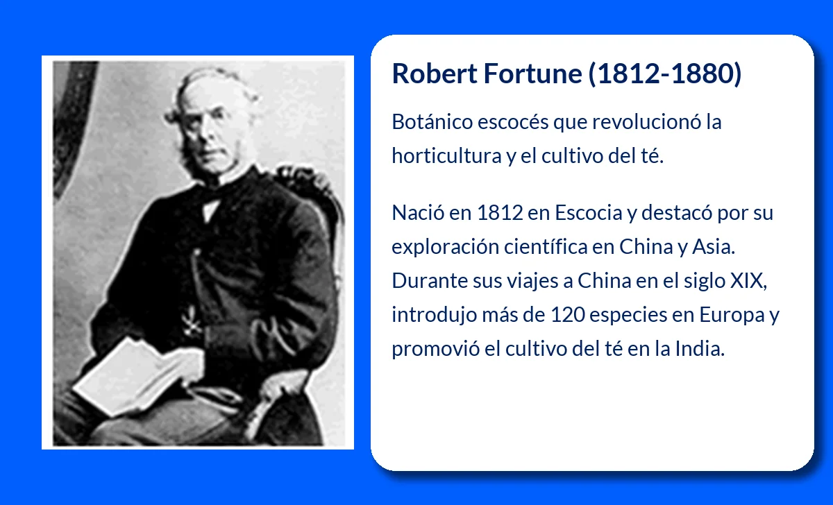 Robert Fortune (1812-1880). El botánico escocés que revolucionó el cultivo del té en Occidente