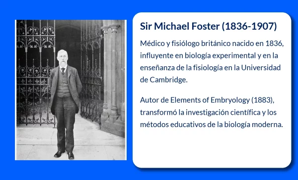 Foster