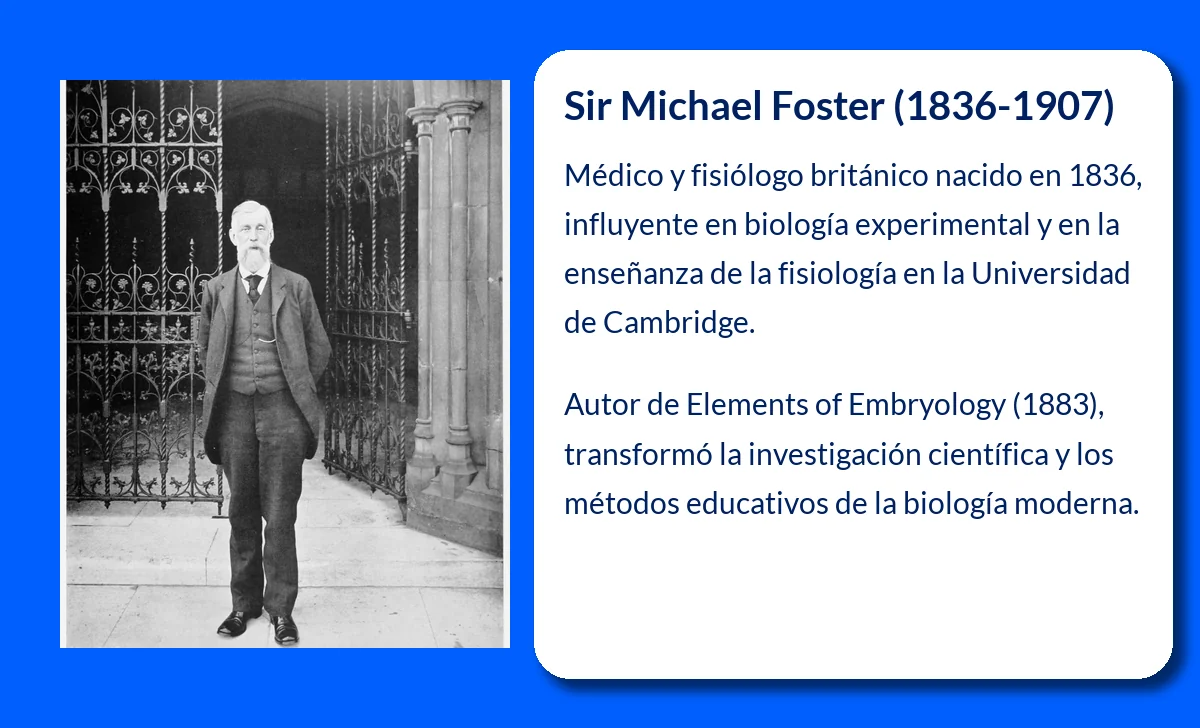 Foster