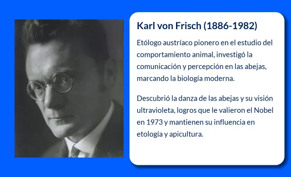 Karl Von Frisch (1886-1982): El pionero en la comprensión del comportamiento animal