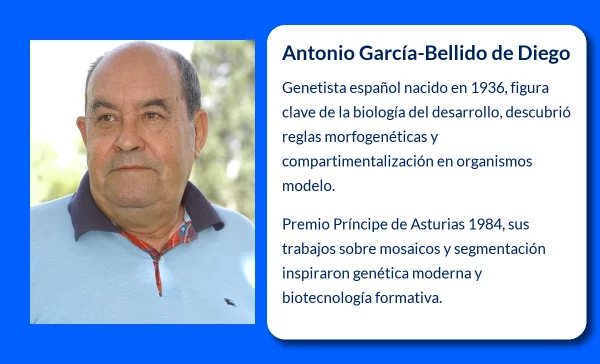 Antonio García-Bellido de Diego (1936-VVVV). El genetista español pionero en el estudio del desarrollo y la diferenciación celular