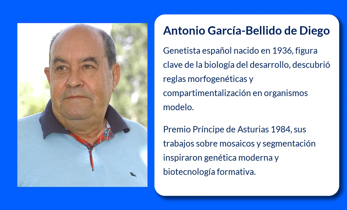 Antonio García-Bellido de Diego (1936-VVVV). El genetista español pionero en el estudio del desarrollo y la diferenciación celular
