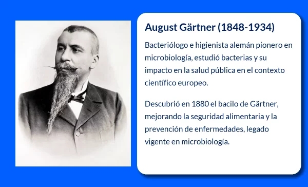 Gártner