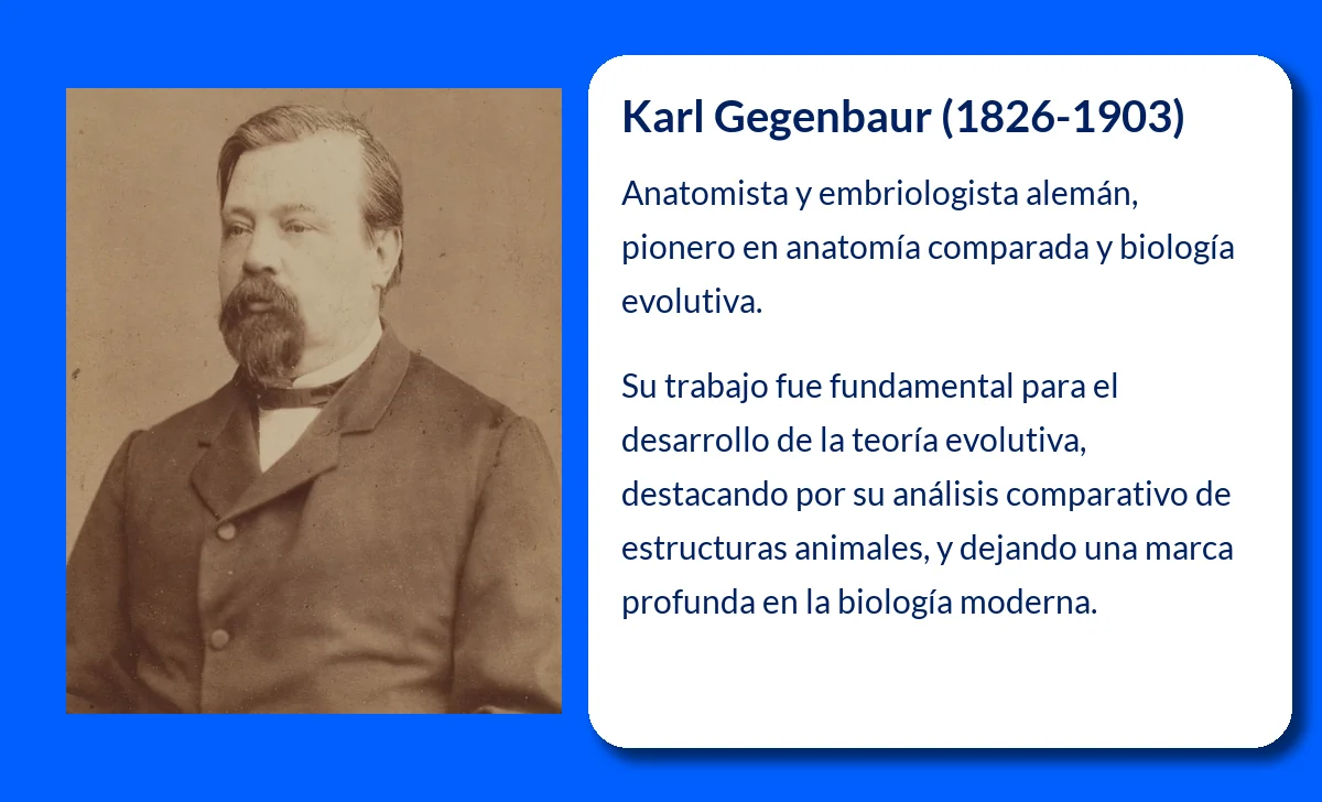 Karl Gegenbaur (1826-1903): El pionero de la anatomía comparada que cimentó las bases de la evolución