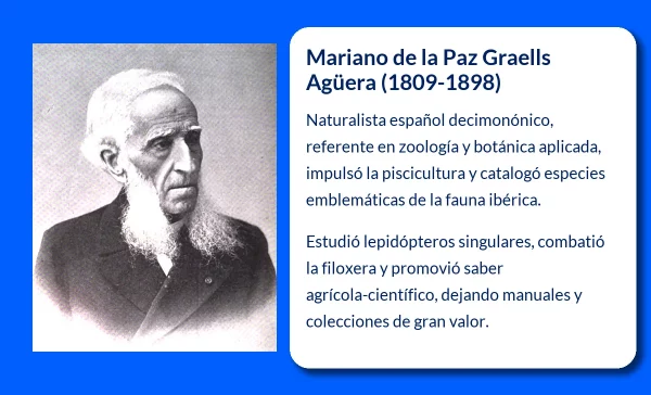 Graells Agüera