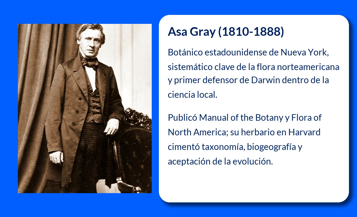 Asa Gray (1810-1888): El botánico pionero que revolucionó la ciencia en América