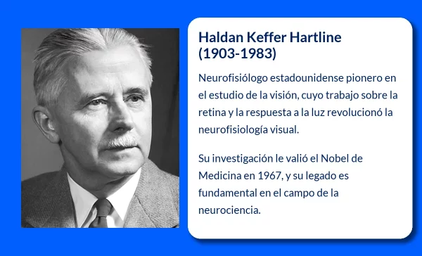 Haldan Keffer Hartline (1903-1983): El pionero de la neurofisiología visual