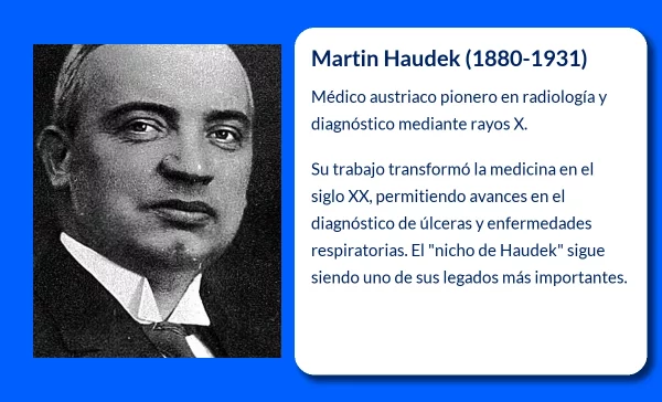 Haudek