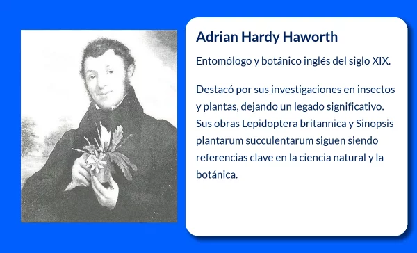 Adrian Hardy Haworth (?-1833): Un pionero de la entomología y botánica inglesa